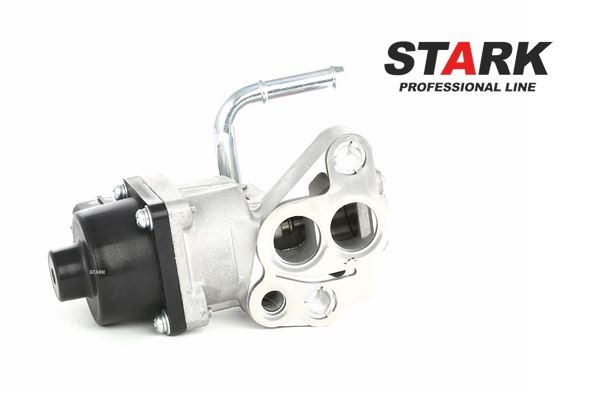 STARK SKEGR-0770061 EGR-ventil FORD KUGA 2 (DM2) 150 hk Bensin hva koster