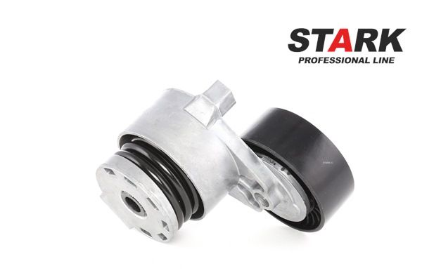 STARK SKVB-0590029: Riemspanner, Poly V-riem