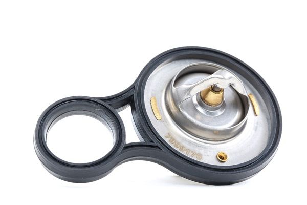 STARK SKTC-0560074: Thermostat d'eau 91°C, avec joint d'étanchéite