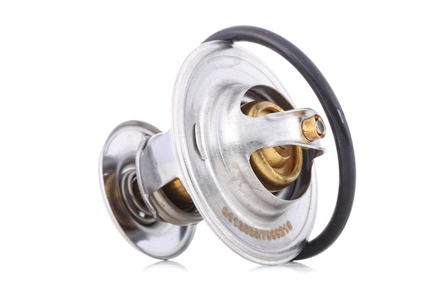 STARK SKTC-0560081: Termostato, refrigerante 80°C, 53,9mm, 35,0mm, con junta
