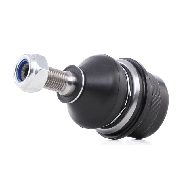 RIDEX 2462S0057 Traggelenk RENAULT MASTER 3 Kasten (FV) 2.3 dCi 125 FWD (FV0C, FV0D, FV0G, FV0H, FV0J, FV0K) 125 PS Diesel