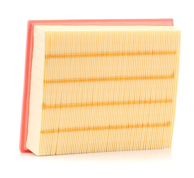 RIDEX 8A0002: Filtro aria
