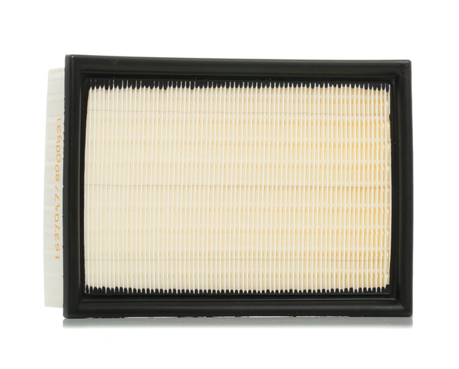 RIDEX 8A0078 Gaisa filtrs BMW 5 Sedan (E39) 163 ZS Benzīns cena
