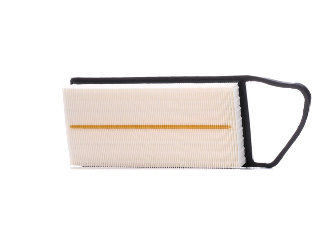 RIDEX 8A0082: Filtro aria