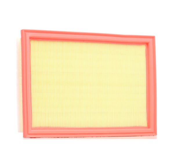 RIDEX 8A0019: Luftfilter mit Vorfilter