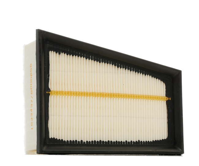 RIDEX 8A0080: Vzduchový filtr