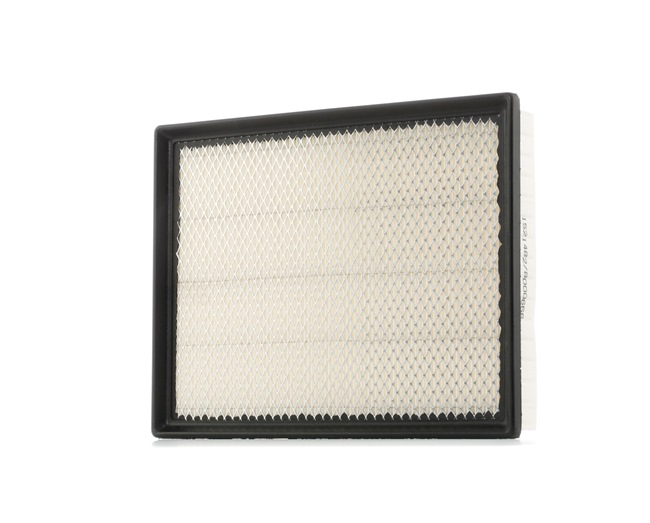 RIDEX 8A0029: Gaisa filtrs