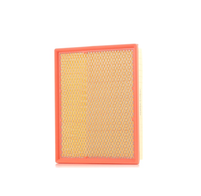 RIDEX 8A0079: Gaisa filtrs