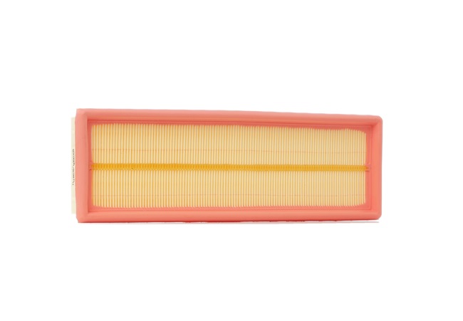 RIDEX 8A0054: Gaisa filtrs