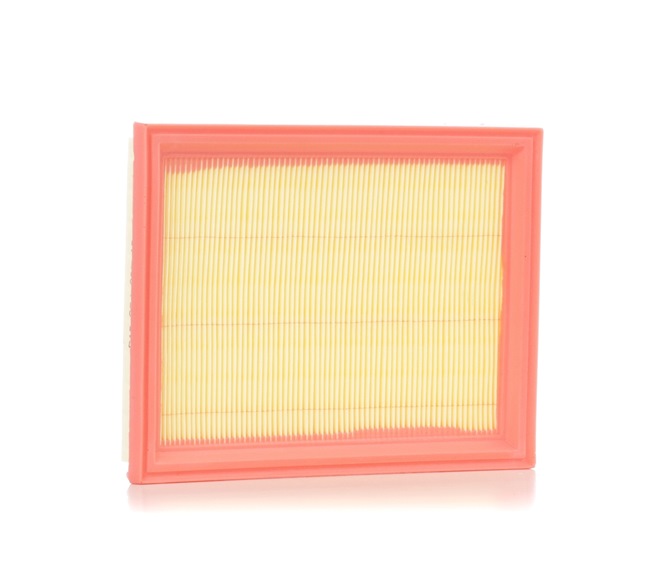 RIDEX 8A0043 Vzduchový filter FORD FIESTA 5 (JH, JD) 70 KS Benzín cena