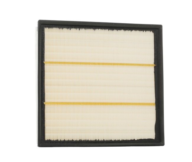 RIDEX 8A0117 Luftfilter RENAULT TRAFIC 2 Bus (JL) 135 PS Diesel Kosten