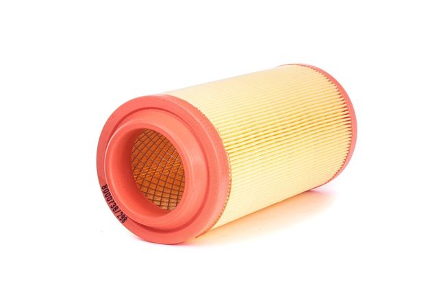RIDEX 8A0031: Filtro de aire