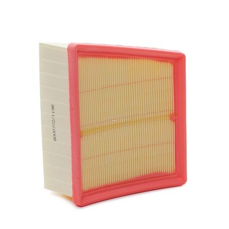 RIDEX 8A0250: Filtro aria