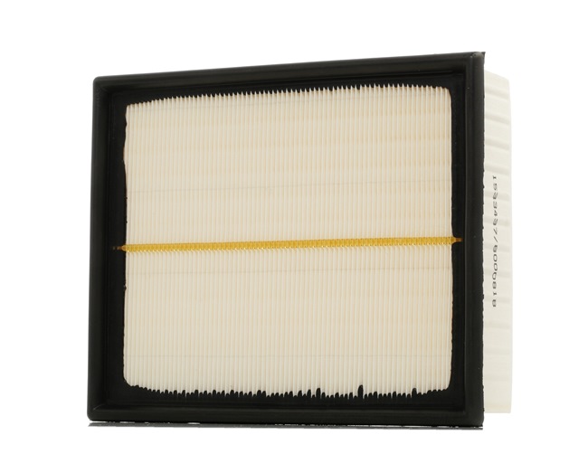 RIDEX 8A0039: Vzduchový filtr