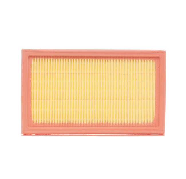 RIDEX 8A0120: Gaisa filtrs