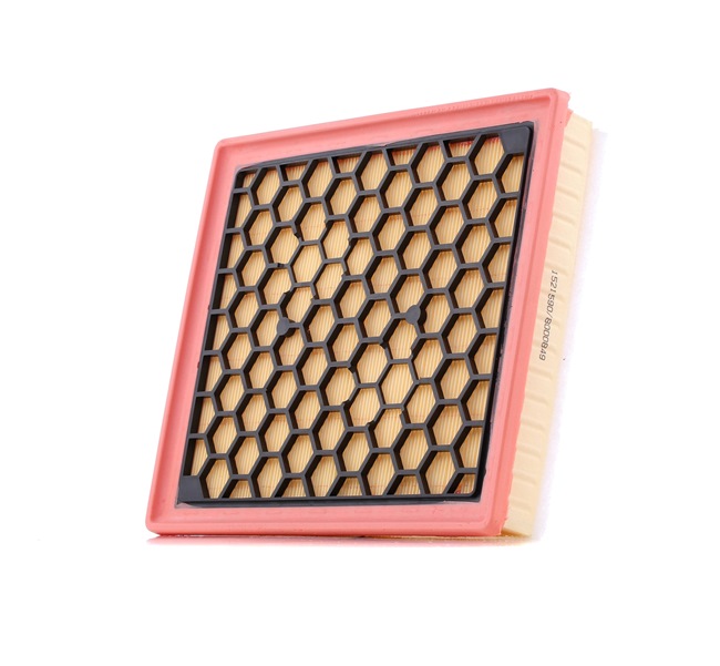 RIDEX 8A0261: Luftfilter mit Vorfilter