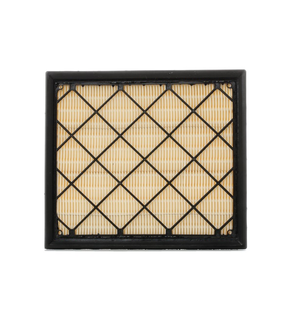 RIDEX 8A0254 Oro filtras VOLVO S60 II (134) 253 AG benzinas kaina