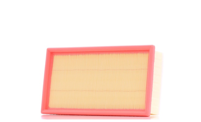 RIDEX 8A0132 Gaisa filtrs CITROЁN JUMPY Furgons 90 ZS Dīzelis cena