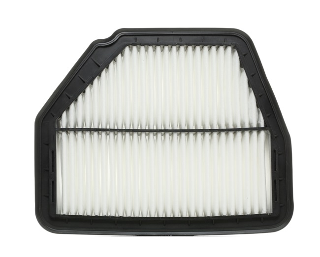 RIDEX 8A0185: Luftfilter