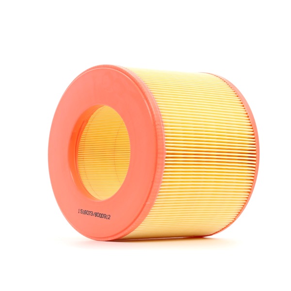 RIDEX 8A0138: Luftfilter