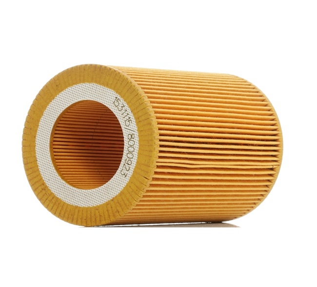RIDEX 8A0137: Filtro aria
