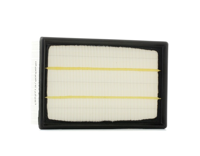 RIDEX 8A0102: Gaisa filtrs