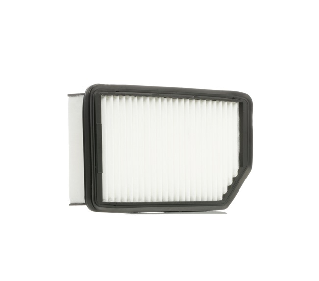 RIDEX 8A0191: Vzduchový filtr