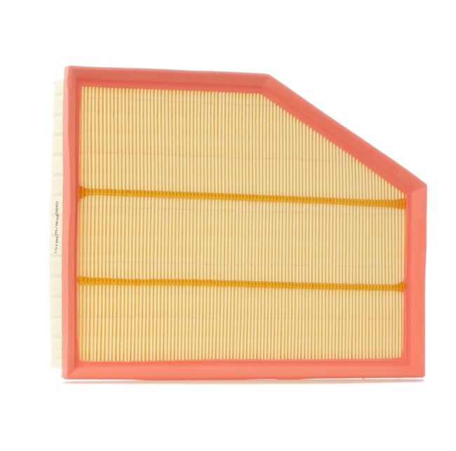 RIDEX 8A0135: Gaisa filtrs
