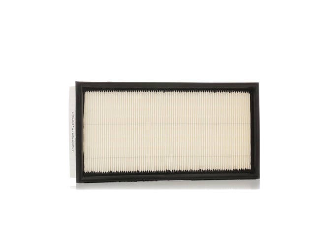 RIDEX 8A0097: Gaisa filtrs