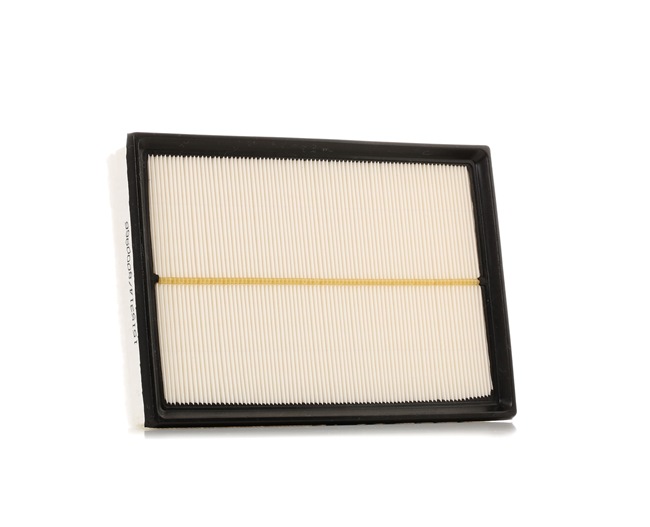 RIDEX 8A0257 Luftfilter mit Vorfilter