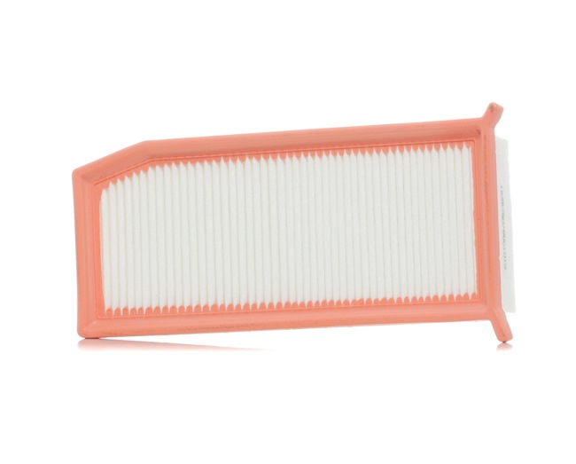 RIDEX 8A0258: Filtro aria
