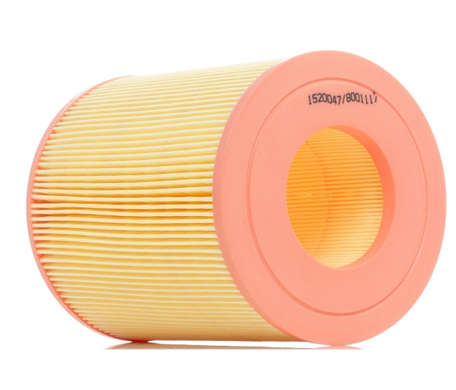 RIDEX 8A0094: Luftfilter