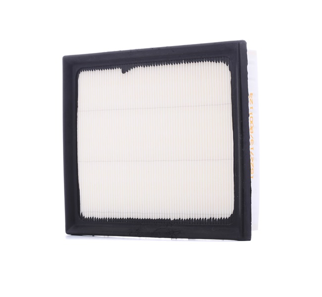 RIDEX 8A0269: Gaisa filtrs