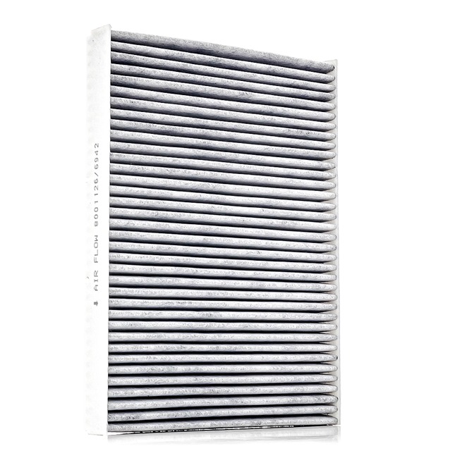 RIDEX 424I0087 Interieurfilter VOLKSWAGEN PASSAT (3B3) 170 Pk Benzine kosten