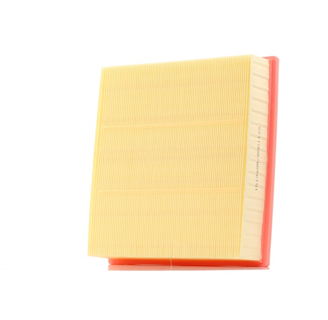 RIDEX 8A0100: Filtro de aire