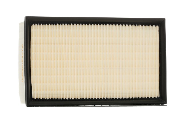 RIDEX 8A0277: Gaisa filtrs