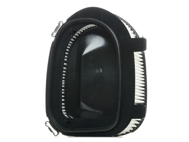 RIDEX 8A0276: Gaisa filtrs