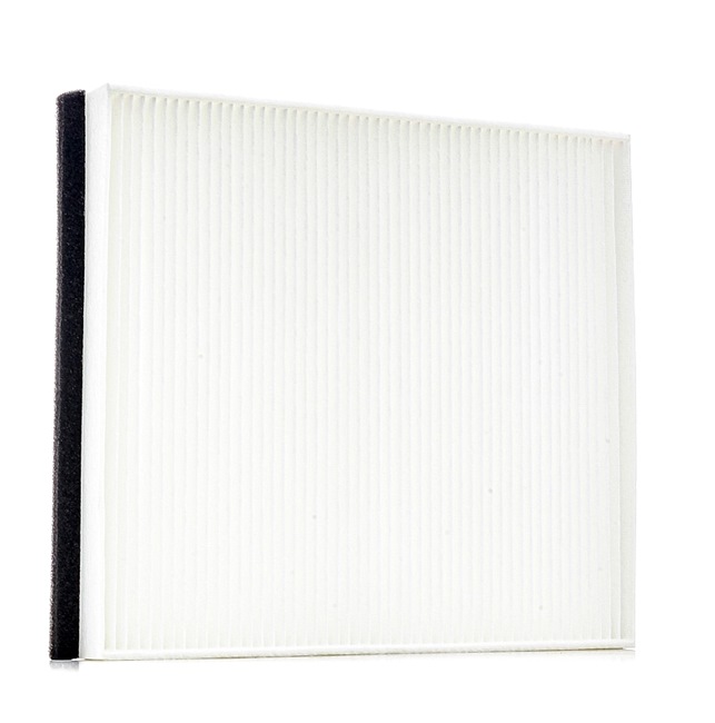 RIDEX 424I0029 Interieurfilter OPEL Zafira A (T98) 82 Pk Diesel kosten