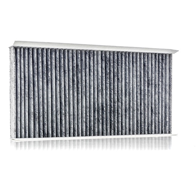 RIDEX 424I0013: Filtrs, Salona telpas gaiss Aktivētās ogles filtrs, Filtra patrona