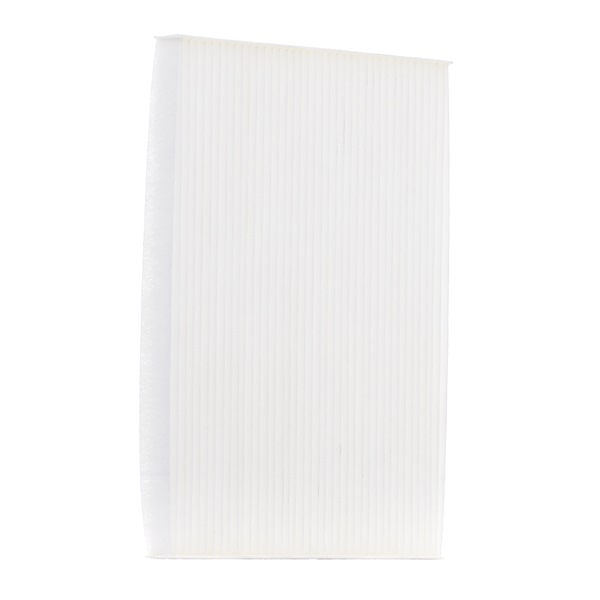 RIDEX 424I0048: Filtrs, Salona telpas gaiss Daļiņu filtrs, Suspendēto vielu filtrs (HEPA)