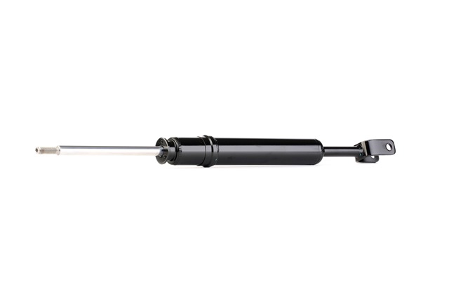 RIDEX 854S0324 Stoßdämpfer AUDI A4 Cabrio (8H7, B6, 8HE, B7) 3.0 220 PS Benzin
