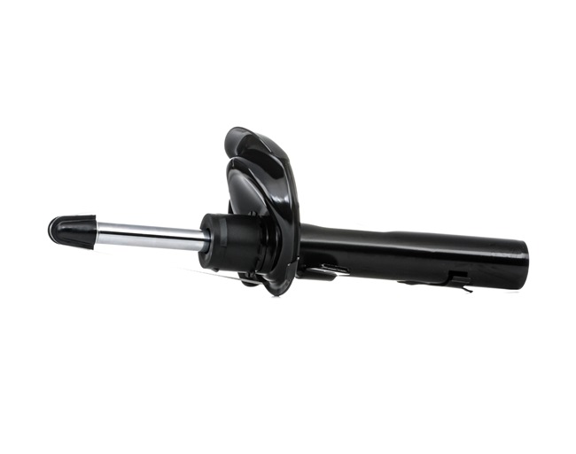 RIDEX 854S0027 Stoßdämpfer FORD C-MAX (DM2) 2.0 LPG 145 PS Benzin/Autogas (LPG)