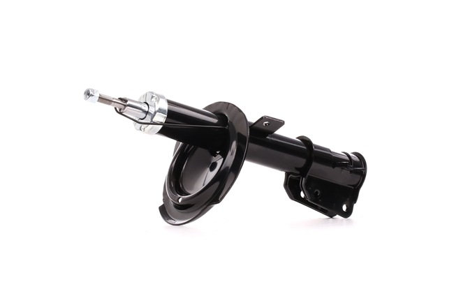 RIDEX 854S0403 Stoßdämpfer FIAT MULTIPLA (186) 120 PS Diesel Kosten