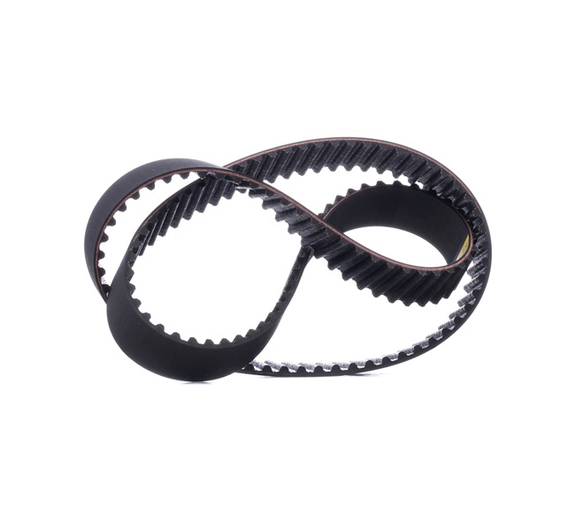 STARK SKTIB-0780002: Cinghia dentata N° denti: 120, 1143mm