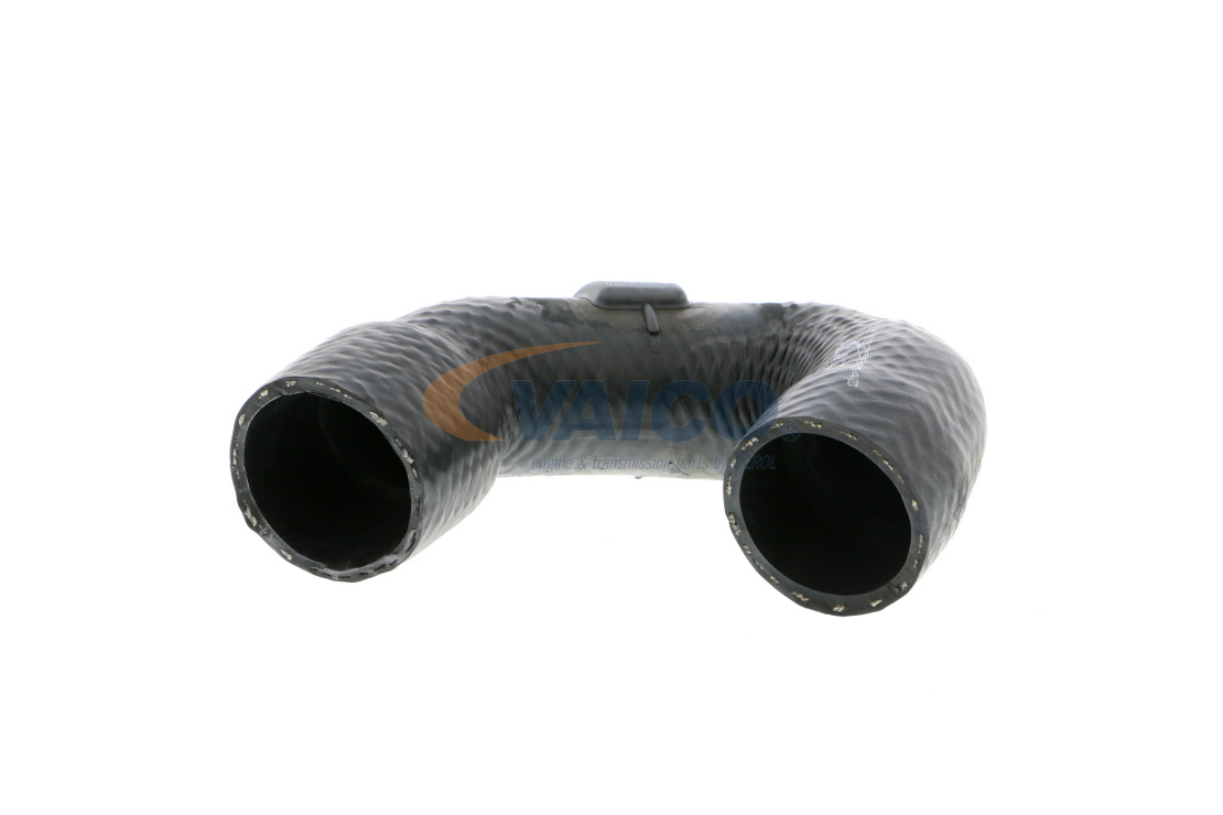 VAICO V20-2410: Furtun radiator