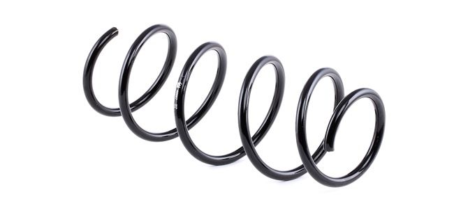 FEBI BILSTEIN 46867: Arc spiral punte fata
