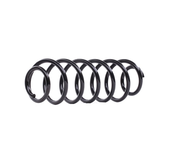 FEBI BILSTEIN 46900: Fahrwerksfeder Hinterachse