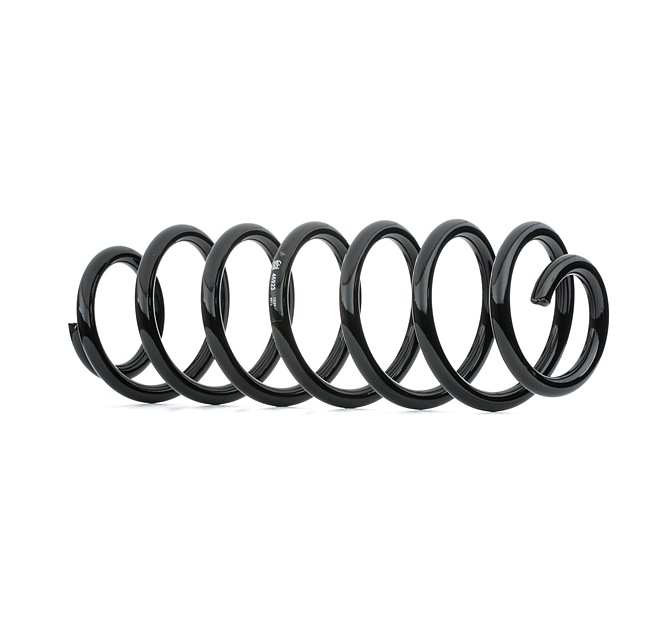 FEBI BILSTEIN 46923: Fahrwerksfeder Hinterachse