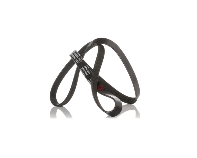 STARK SKPB-0090014 Multiriem ALFA ROMEO 159 (939) 210 Pk Diesel kosten