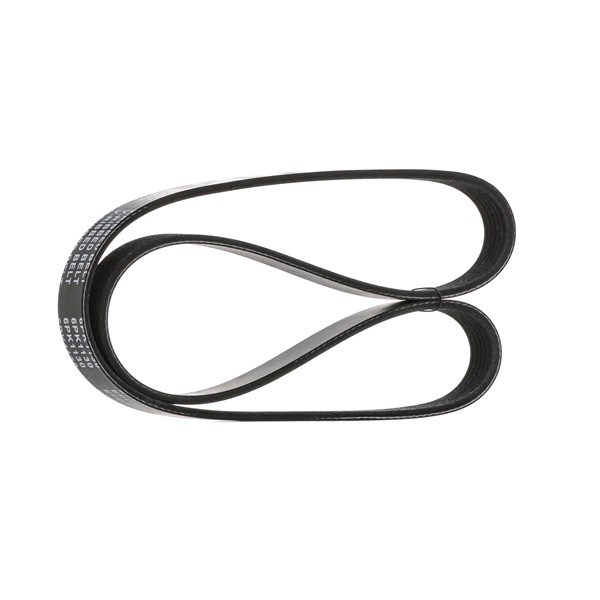 STARK SKPB-0090054 Riemen, Ketten, Rollen RENAULT KANGOO Express (FC0/1_) 1.5 dCi (FC07, FC1R) 65 PS Diesel